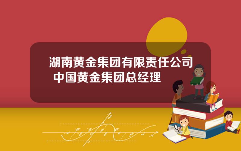 湖南黄金集团有限责任公司 中国黄金集团总经理